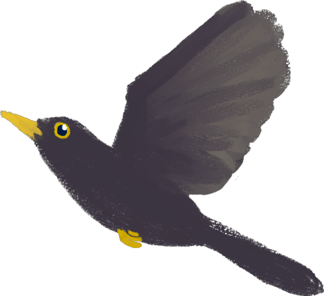 Motif oiseau